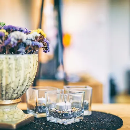 Appartement Simoone Kesklinna